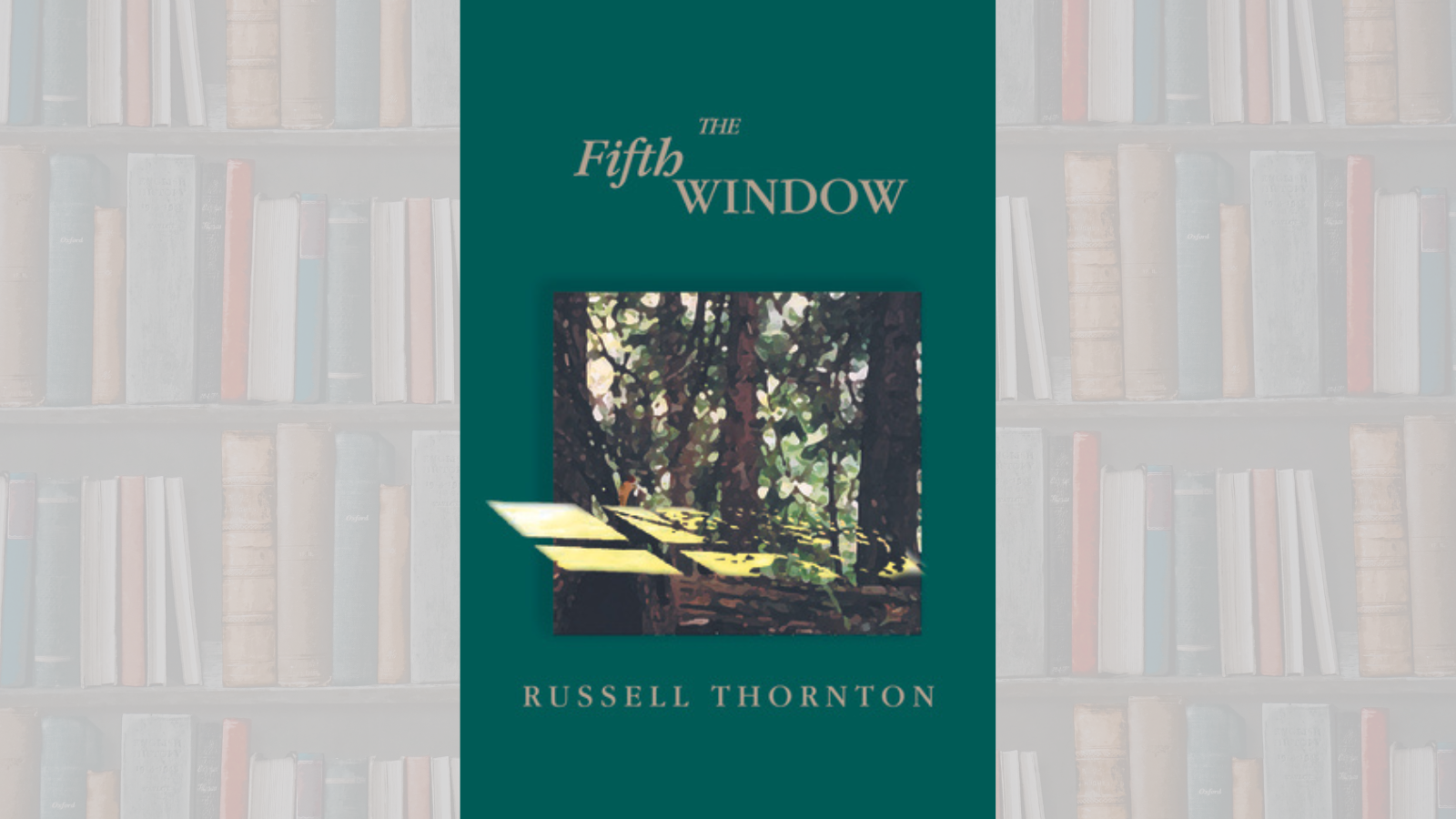 the fifth window book summary